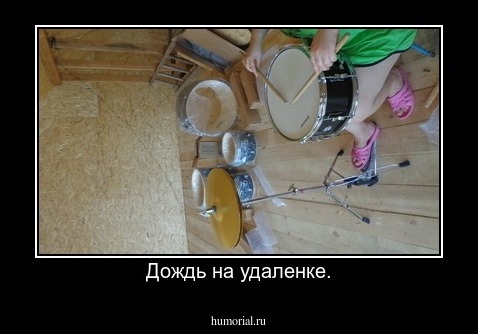 Дождь на удаленке.