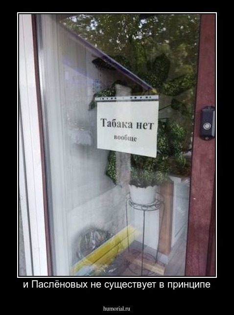 и Паслёновых не существует в принципе