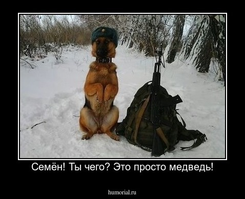 Семён! Ты чего? Это просто медведь!