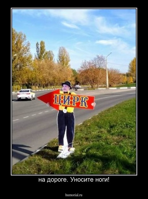 на дороге. Уносите ноги!