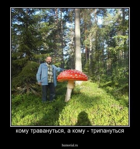 кому травануться, а кому - трипануться