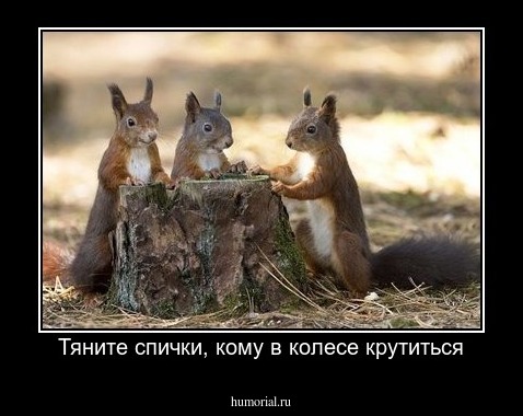 Тяните спички, кому в колесе крутиться