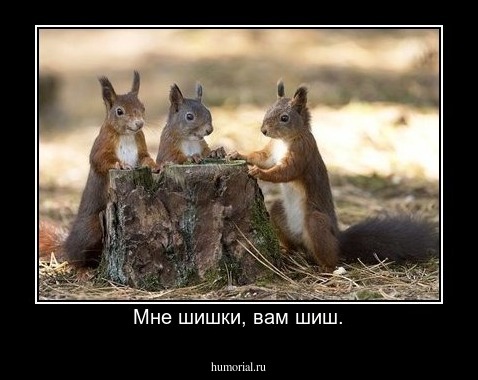 Мне шишки, вам шиш.