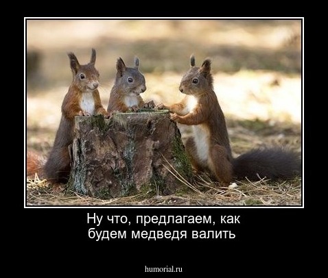 Ну что, предлагаем, как будем медведя валить