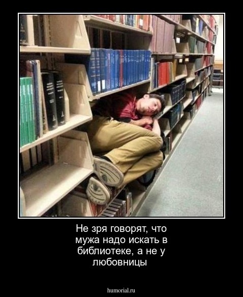 Не зря говорят, что мужа надо искать в библиотеке, а не у любовницы