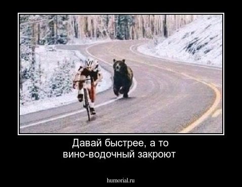 Давай быстрее, а то вино-водочный закроют