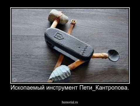 Ископаемый инструмент Пети_Кантропова.