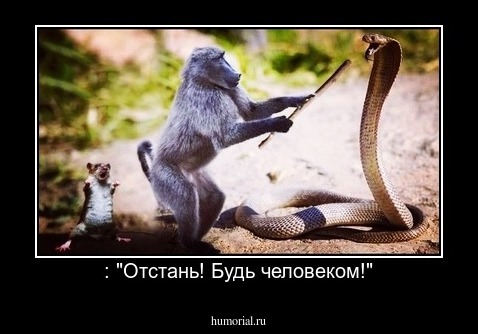 : "Отстань! Будь человеком!"
