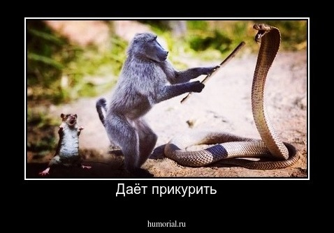 Даёт прикурить
