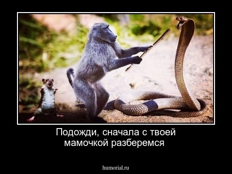 Подожди, сначала с твоей мамочкой разберемся