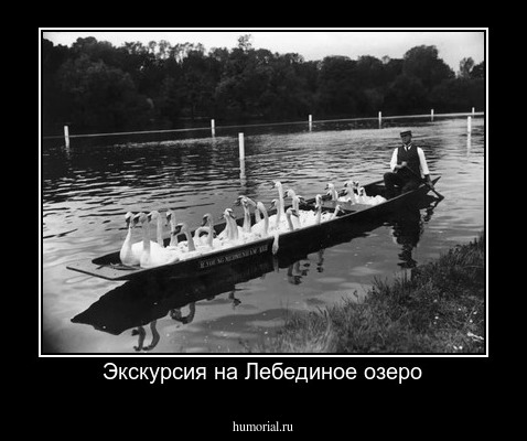 Экскурсия на Лебединое озеро