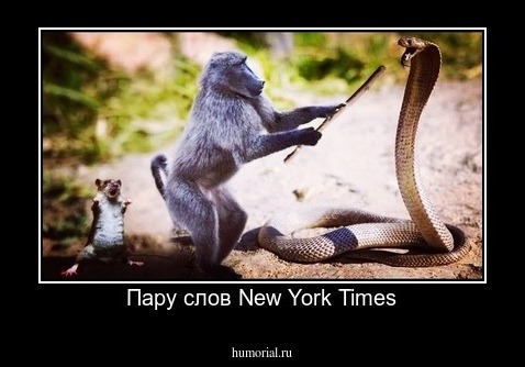 Пару слов New York Times
