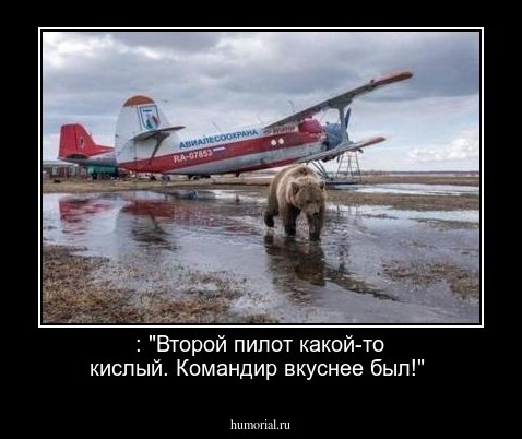  : "Второй пилот какой-то кислый. Командир вкуснее был!"