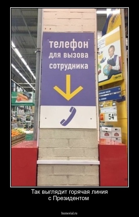 Так выглядит горячая линия с Президентом 