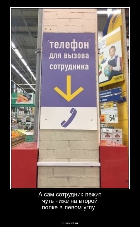 А сам сотрудник лежит чуть ниже на второй полке в левом углу.