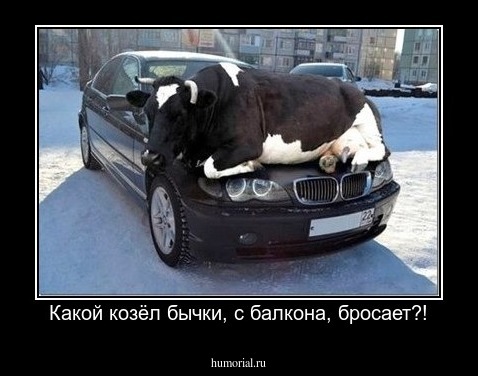 Какой козёл бычки, с балкона, бросает?!