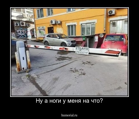 Ну а ноги у меня на что?