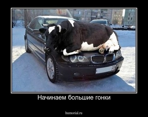 Начинаем большие гонки