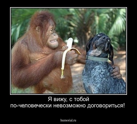 Я вижу, с тобой по-человечески невозможно договориться!