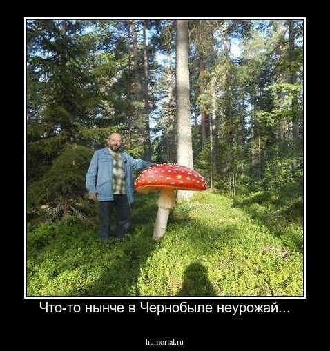 Что-то нынче в Чернобыле неурожай...