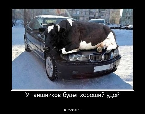 У гаишников будет хороший удой