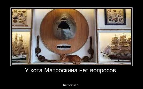 У кота Матроскина нет вопросов 