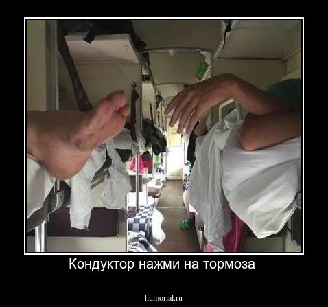 Кондуктор нажми на тормоза 