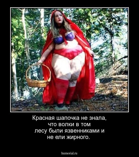 Красная шапочка не знала, что волки в том лесу были язвенниками и не ели жирного.