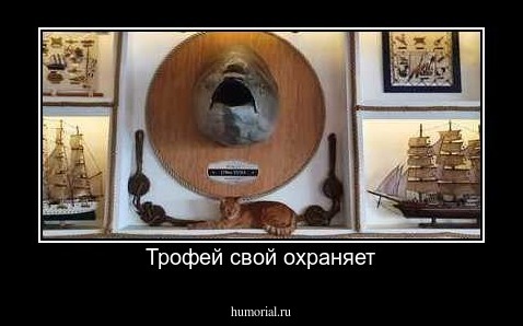 Трофей свой охраняет