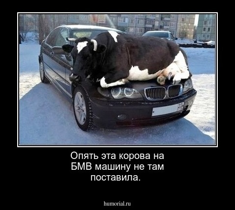 Опять эта корова на БМВ машину не там поставила.