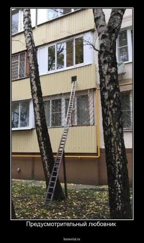 Предусмотрительный любовник 