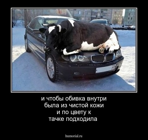 и чтобы обивка внутри была из чистой кожи и по цвету к тачке подходила