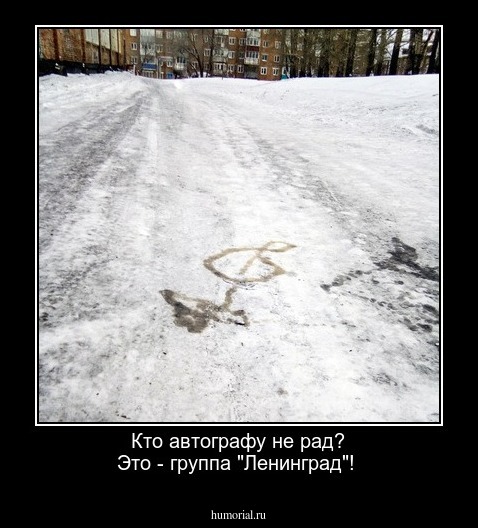 Кто автографу не рад? Это - группа "Ленинград"!
