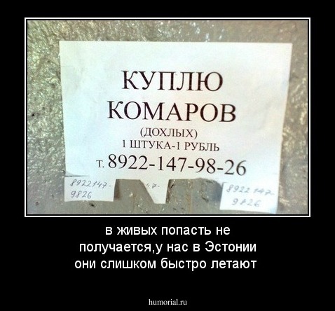 в живых попасть не получается,у нас в Эстонии они слишком быстро летают
