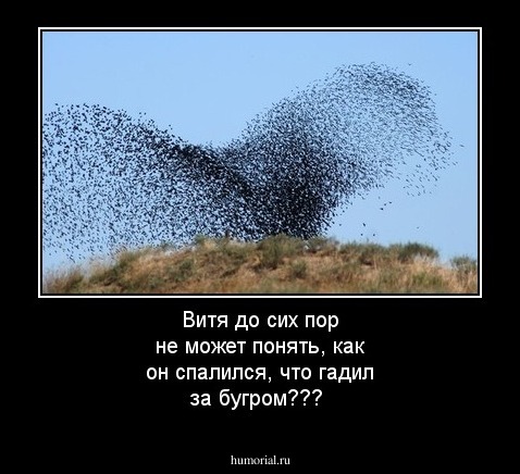 Витя до сих пор не может понять, как он спалился, что гадил за бугром???