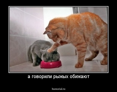а говорили рыжых обижают