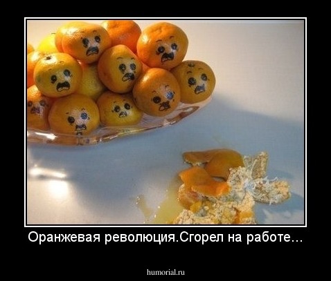 Оранжевая революция.Сгорел на работе...