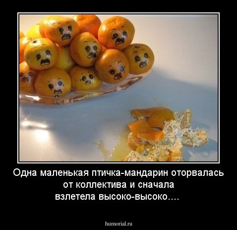 Одна маленькая птичка-мандарин оторвалась от коллектива и сначала взлетела высоко-высоко....