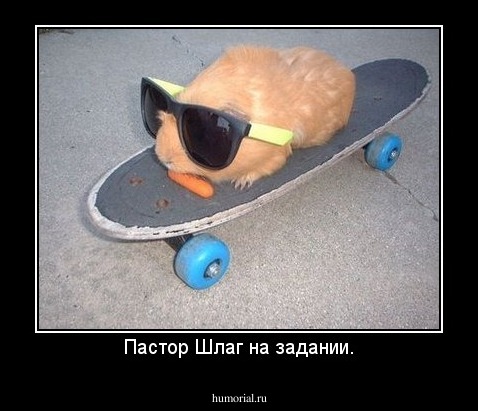 Пастор Шлаг на задании.