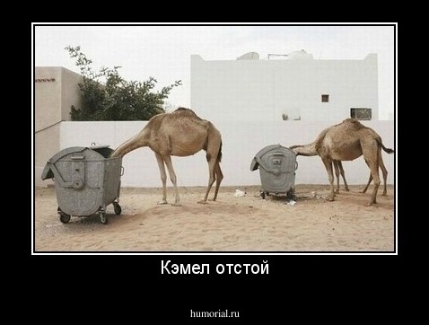 Кэмел отстой