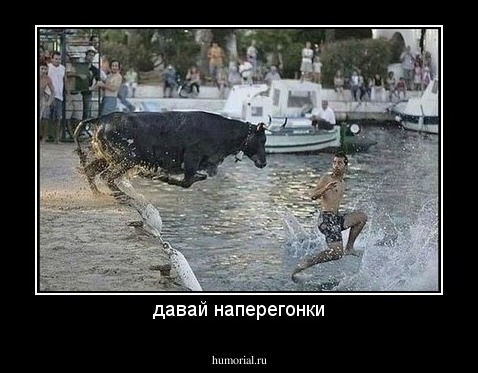 давай наперегонки