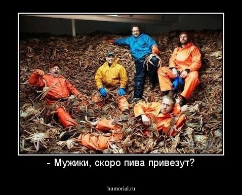 - Мужики, скоро пива привезут?