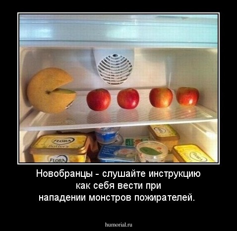 Новобранцы - слушайте инструкцию как себя вести при нападении монстров пожирателей.