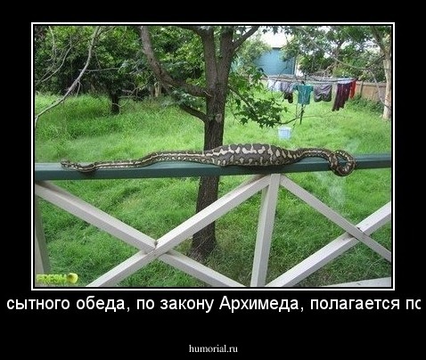 После сытного обеда, по закону Архимеда, полагается поспать.