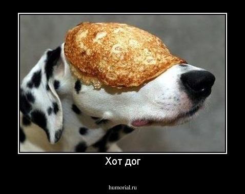 Хот дог