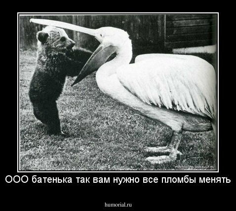 ООО батенька так вам нужно все пломбы менять