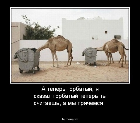 А теперь горбатый, я сказал горбатый теперь ты считаешь, а мы прячемся. 