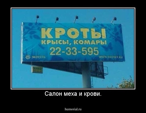 Салон меха и крови.