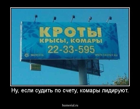 Ну, если судить по счету, комары лидируют.