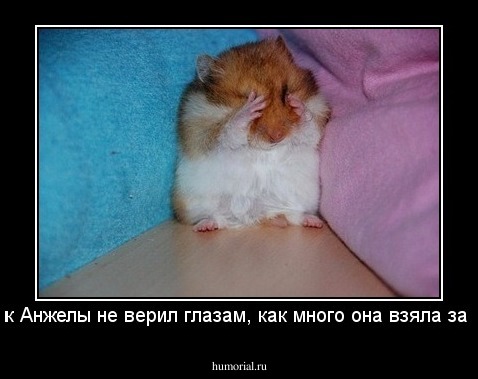 Хомяк Анжелы не верил глазам, как много она взяла за щеку